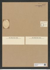Actinocyclus moniliformis Ralfs. (de-Toni-Nr.: Genus 195, Species 4780) Zeichnungen Sammlung Grunow Nr. 8419 (NHMW-BOT-W0377864)